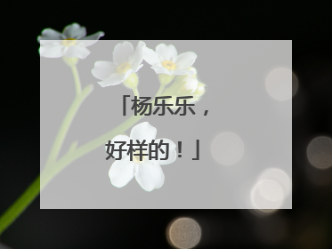 杨乐乐，好样的！