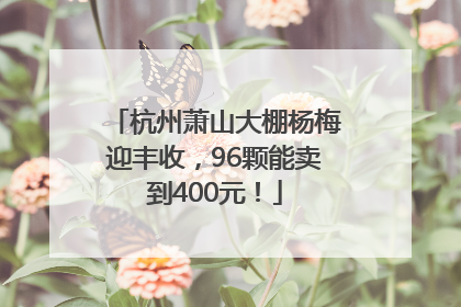 杭州萧山大棚杨梅迎丰收，96颗能卖到400元！