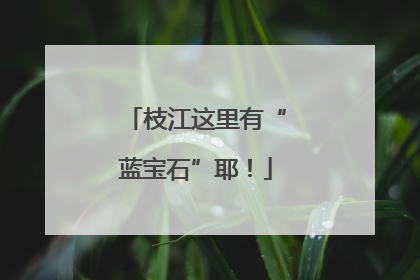 枝江这里有“蓝宝石”耶！