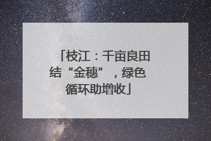 枝江：千亩良田结“金穗”，绿色循环助增收