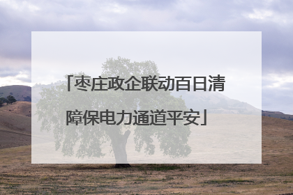 枣庄政企联动百日清障保电力通道平安