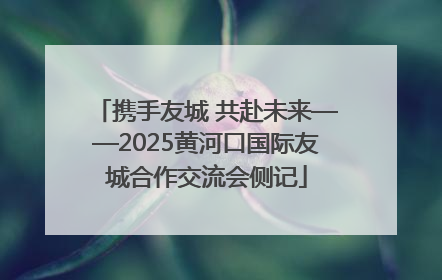携手友城 共赴未来——2025黄河口国际友城合作交流会侧记