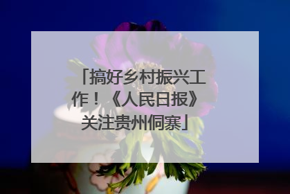 搞好乡村振兴工作！《人民日报》关注贵州侗寨