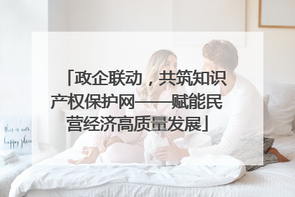 政企联动，共筑知识产权保护网——赋能民营经济高质量发展