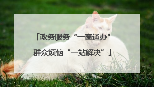 政务服务“一窗通办” 群众烦恼“一站解决”