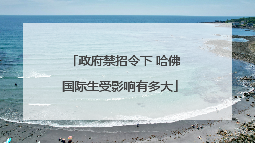 政府禁招令下 哈佛国际生受影响有多大