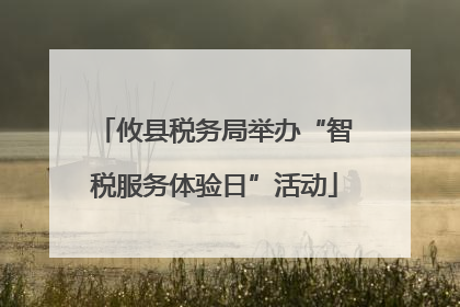 攸县税务局举办“智税服务体验日”活动