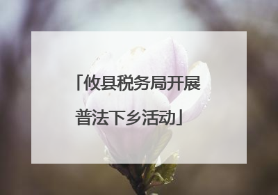 攸县税务局开展普法下乡活动