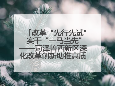 改革“先行先试” 实干“一马当先”——菏泽鲁西新区深化改革创新助推高质量发展纪实