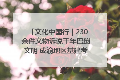 文化中国行｜230余件文物诉说千年巴蜀文明 成渝地区基建考古成果展开展
