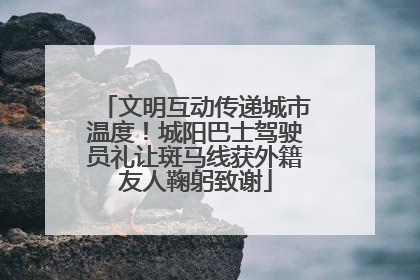 文明互动传递城市温度！城阳巴士驾驶员礼让斑马线获外籍友人鞠躬致谢