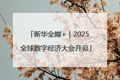 新华全媒+｜2025全球数字经济大会开幕