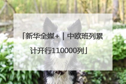 新华全媒+｜中欧班列累计开行110000列