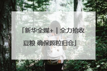 新华全媒+｜全力抢收夏粮 确保颗粒归仓