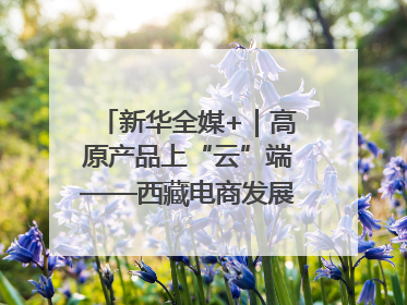 新华全媒+｜高原产品上“云”端——西藏电商发展一线观察