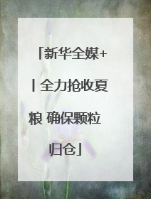 新华全媒+丨全力抢收夏粮 确保颗粒归仓
