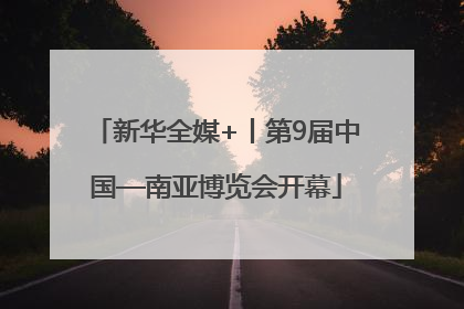 新华全媒+丨第9届中国—南亚博览会开幕