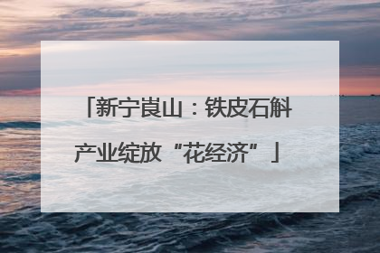 新宁崀山：铁皮石斛产业绽放“花经济”