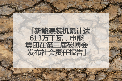 新能源装机累计达613万千瓦，申能集团在第三届碳博会发布社会责任报告