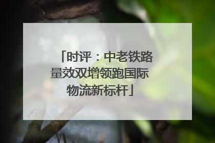 时评：中老铁路量效双增领跑国际物流新标杆