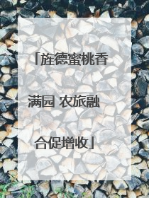 旌德蜜桃香满园 农旅融合促增收
