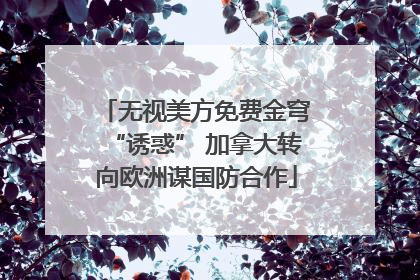 无视美方免费金穹“诱惑” 加拿大转向欧洲谋国防合作