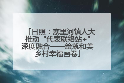 日照：寨里河镇人大推动“代表联络站+”深度融合——绘就和美乡村幸福画卷
