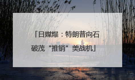 日媒爆：特朗普向石破茂“推销”美战机