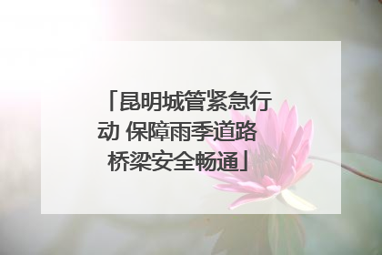 昆明城管紧急行动 保障雨季道路桥梁安全畅通