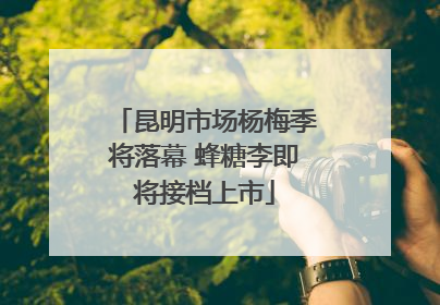 昆明市场杨梅季将落幕 蜂糖李即将接档上市