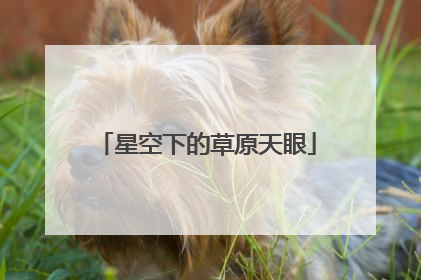 星空下的草原天眼