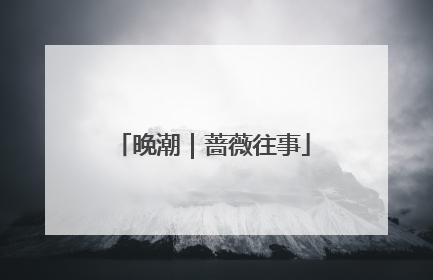 晚潮｜蔷薇往事
