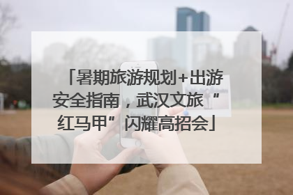 暑期旅游规划+出游安全指南，武汉文旅“红马甲”闪耀高招会