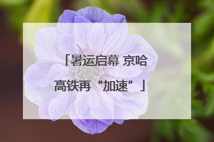 暑运启幕 京哈高铁再“加速”