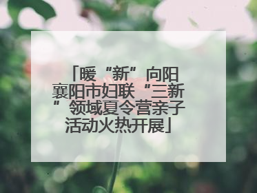 暖“新”向阳 襄阳市妇联“三新”领域夏令营亲子活动火热开展