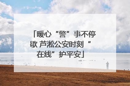 暖心“警”事不停歇 芦淞公安时刻“在线”护平安