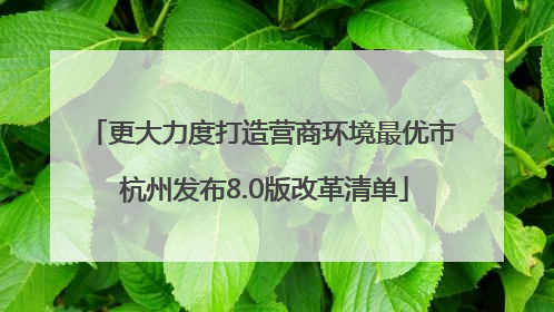 更大力度打造营商环境最优市 杭州发布8.0版改革清单