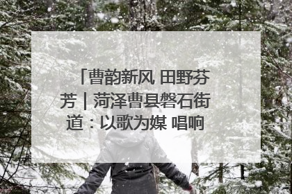 曹韵新风 田野芬芳｜菏泽曹县磐石街道：以歌为媒 唱响乡土“新歌声”