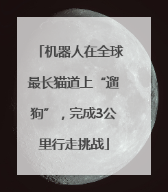 机器人在全球最长猫道上“遛狗”，完成3公里行走挑战