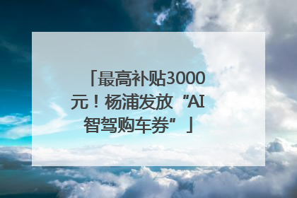 最高补贴3000元！杨浦发放“AI智驾购车券”