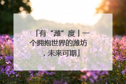 有“潍”度丨一个拥抱世界的潍坊，未来可期