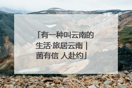 有一种叫云南的生活·旅居云南｜菌有信 人赴约