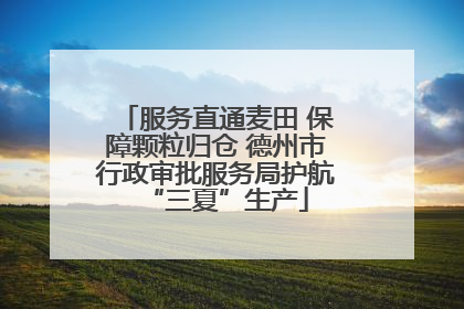 服务直通麦田 保障颗粒归仓 德州市行政审批服务局护航“三夏”生产