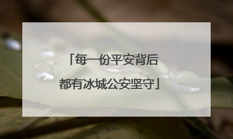每一份平安背后 都有冰城公安坚守