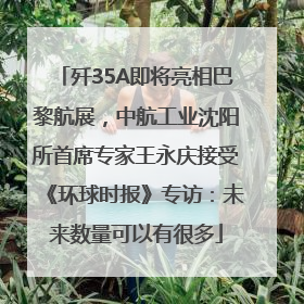歼35A即将亮相巴黎航展，中航工业沈阳所首席专家王永庆接受《环球时报》专访：未来数量可以有很多