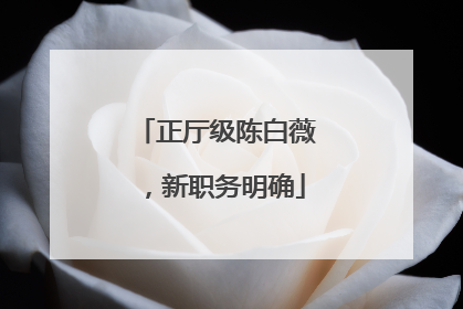 正厅级陈白薇，新职务明确