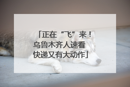 正在“飞”来！乌鲁木齐人速看 快递又有大动作