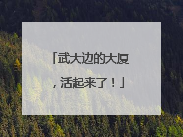 武大边的大厦，活起来了！