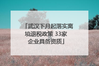 武汉下月起落实离境退税政策 33家企业具备资质