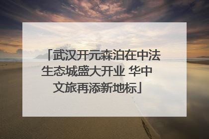 武汉开元森泊在中法生态城盛大开业 华中文旅再添新地标